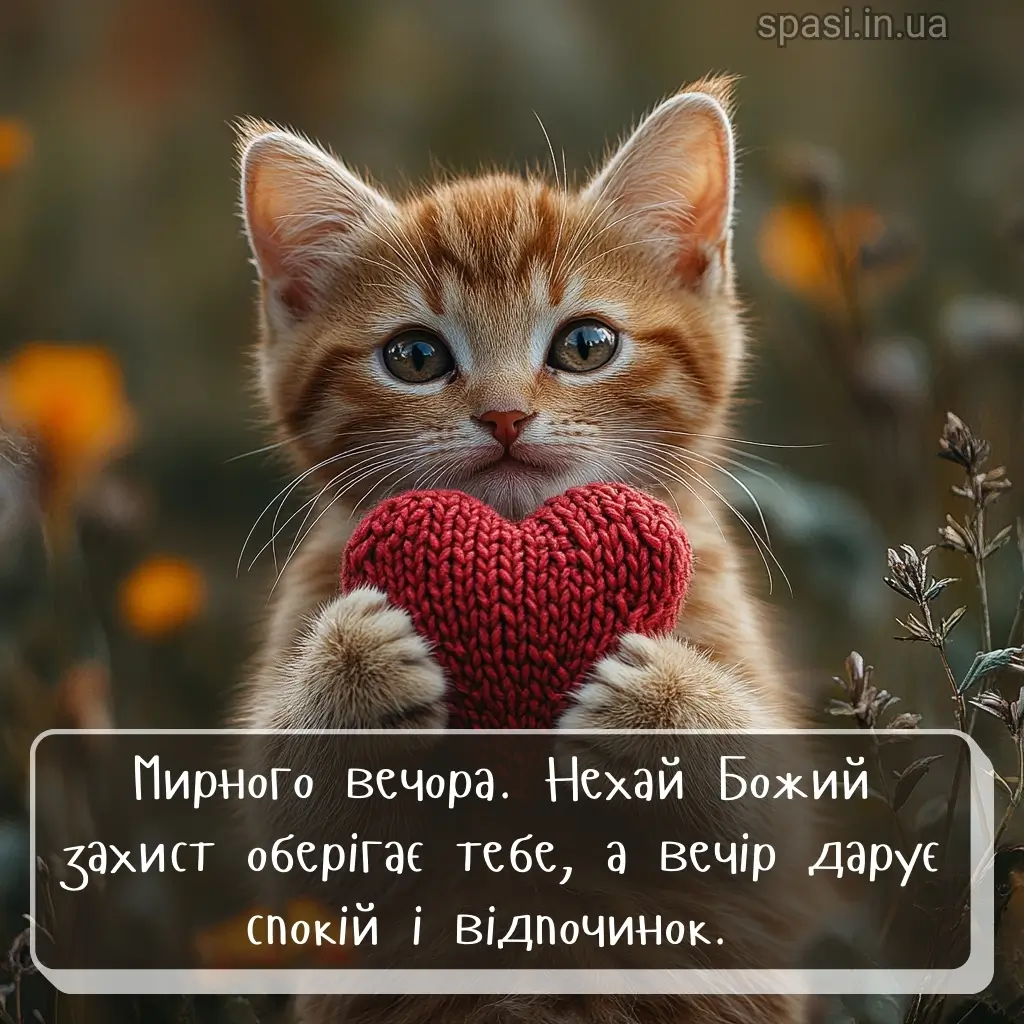 Листівка гарного вечора 7