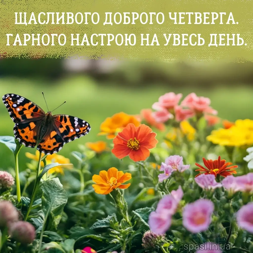 Нова листівка доброго ранку четверга 17
